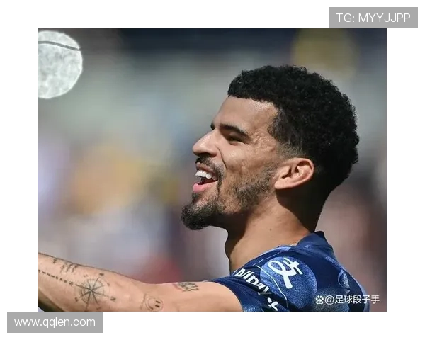 索兰克：为世界杯梦想全力以赴