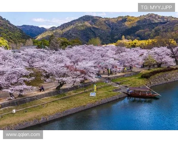 樱花绝平难救主广岛读秒绝杀战